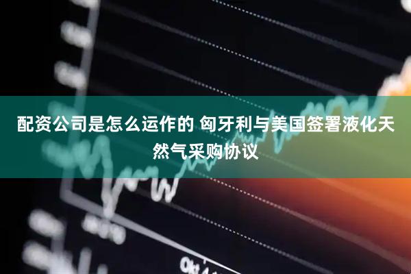 配资公司是怎么运作的 匈牙利与美国签署液化天然气采购协议